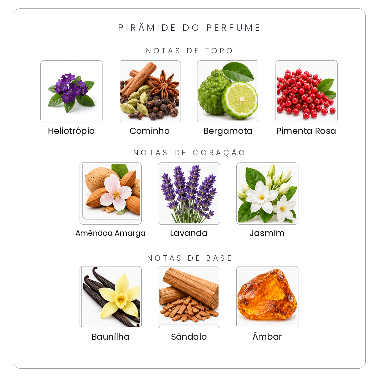 Pirâmide olfativa Parfums de Marly Pegasus