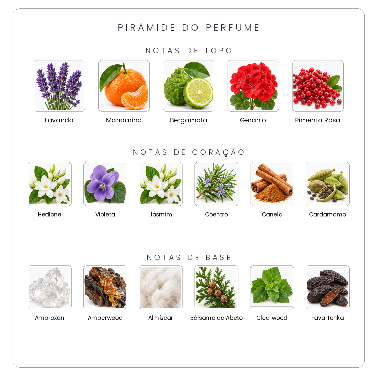 Pirâmide olfativa Parfums de Marly Percival