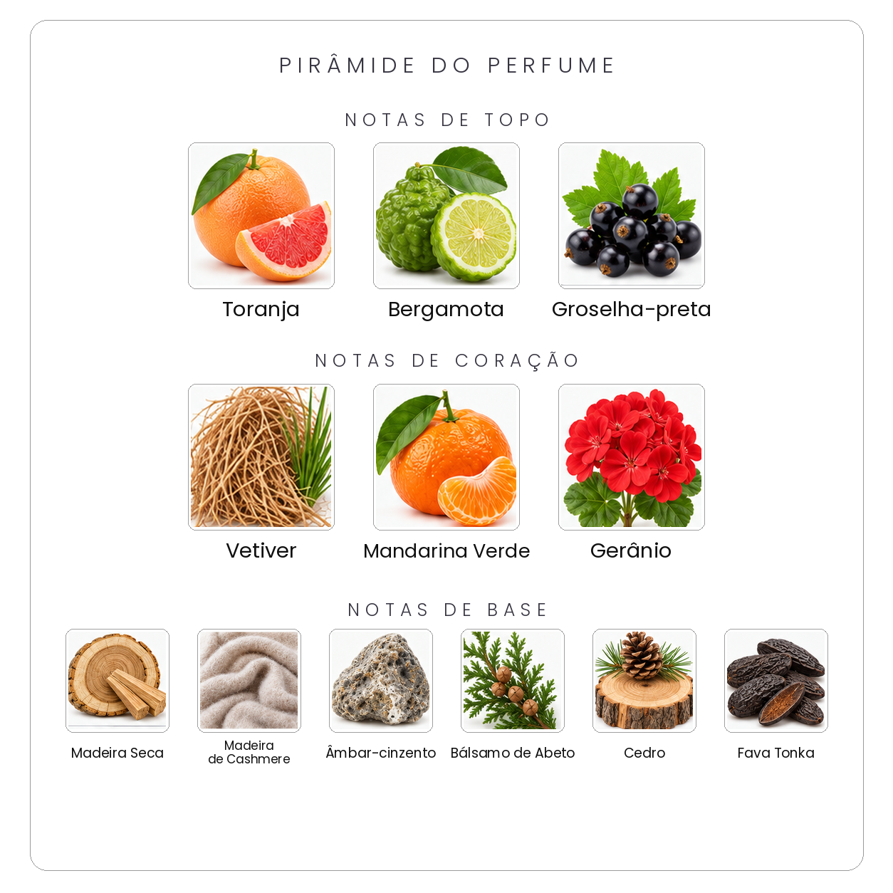 Pirâmide olfativa Parfums de Marly Perseus