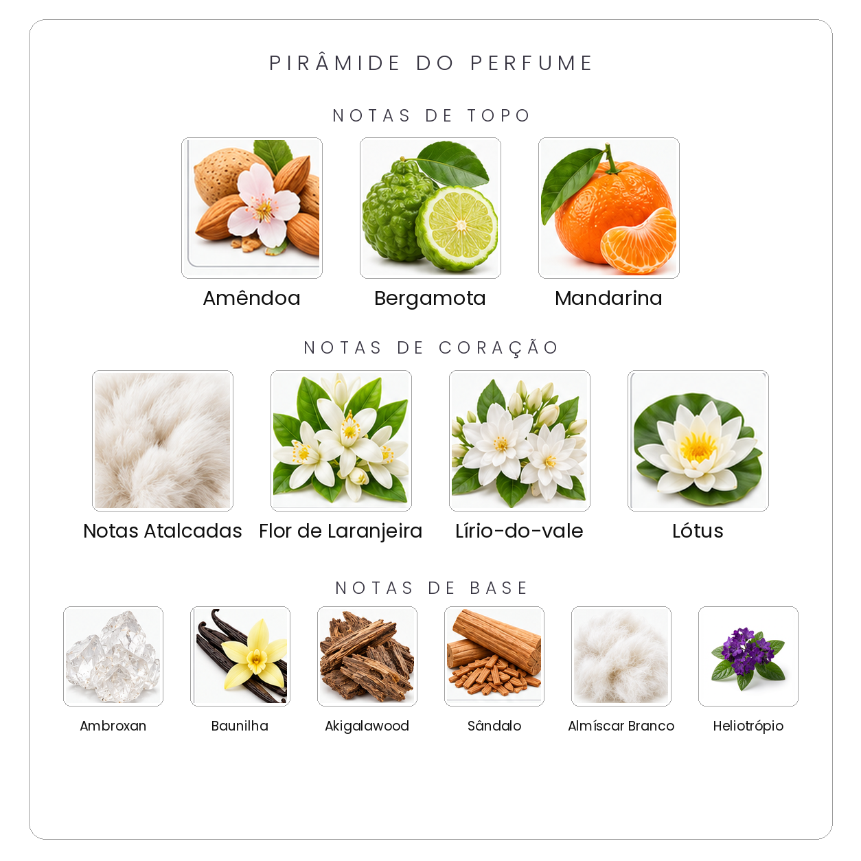 Pirâmide olfativa Parfums de Marly Valaya Exclusif