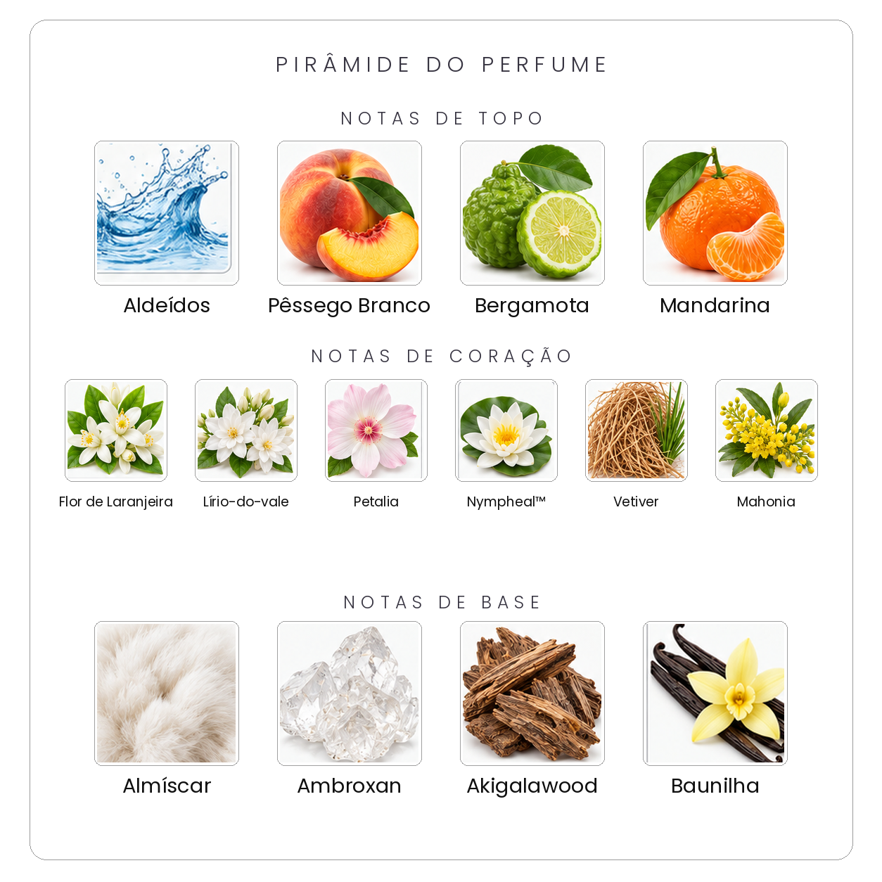 Pirâmide olfativa Parfums de Marly Valaya