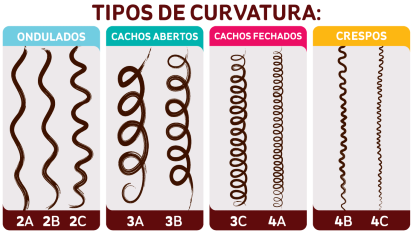 Tipos de Curvatura
