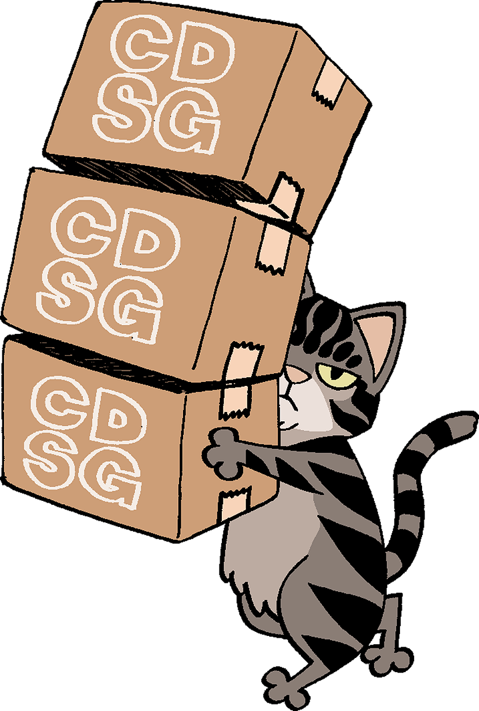 Chico, o gato, carregando três caixas com o logo CDSG