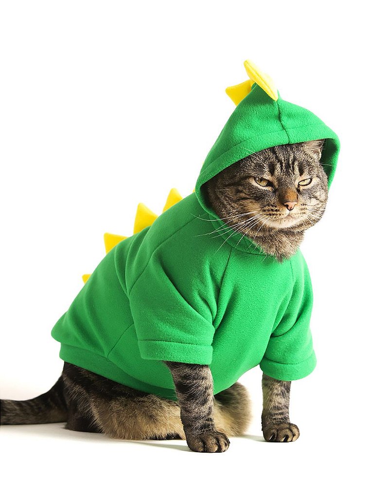 Fantasia de Dinossauro Verde | Para Gatos - Cansei de Ser Gato