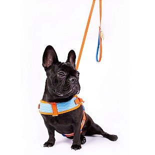 Coleção Summer - Allure Pets