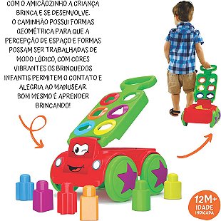 Jogo Pedagógico Árvore Encaixe Formas, Paki Toys