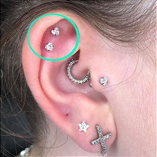 helix] [cluster][piercing helix] [helix floral] [cluster floral] [helix  folheado a ouro 18k] [helix folheado a ródio] [helix folheado][loja de  piercing] [venda de piercings] [piercings on line] [piercing orelha]