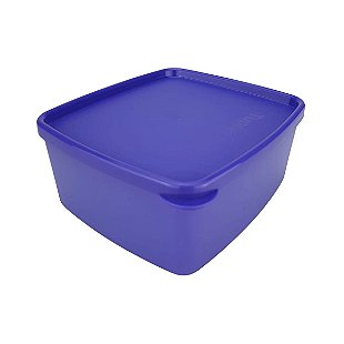 Garrafa Tupperware Térmica Xploris 450ml Denali - Comprar