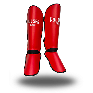 CANELEIRAS - PULSER FIGHT