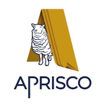 Aprisco