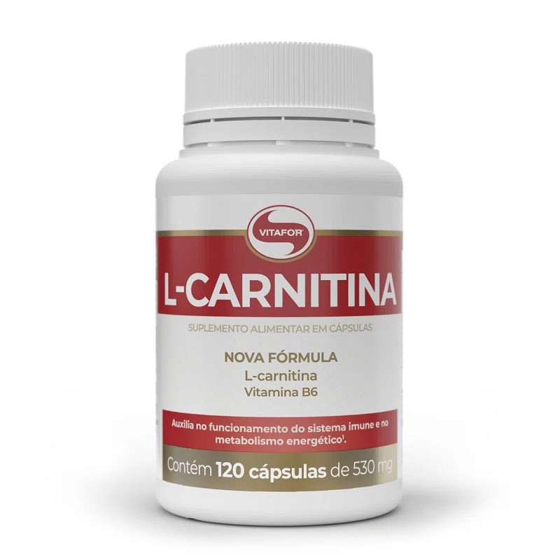 L-CARNITINA EM CÁPSULAS - VITAFOR - Corpo10 Suplementos