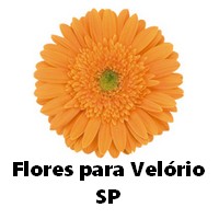 Coroa de Flores - Cemitérios em Americana - Ligue (11) 98945-6722