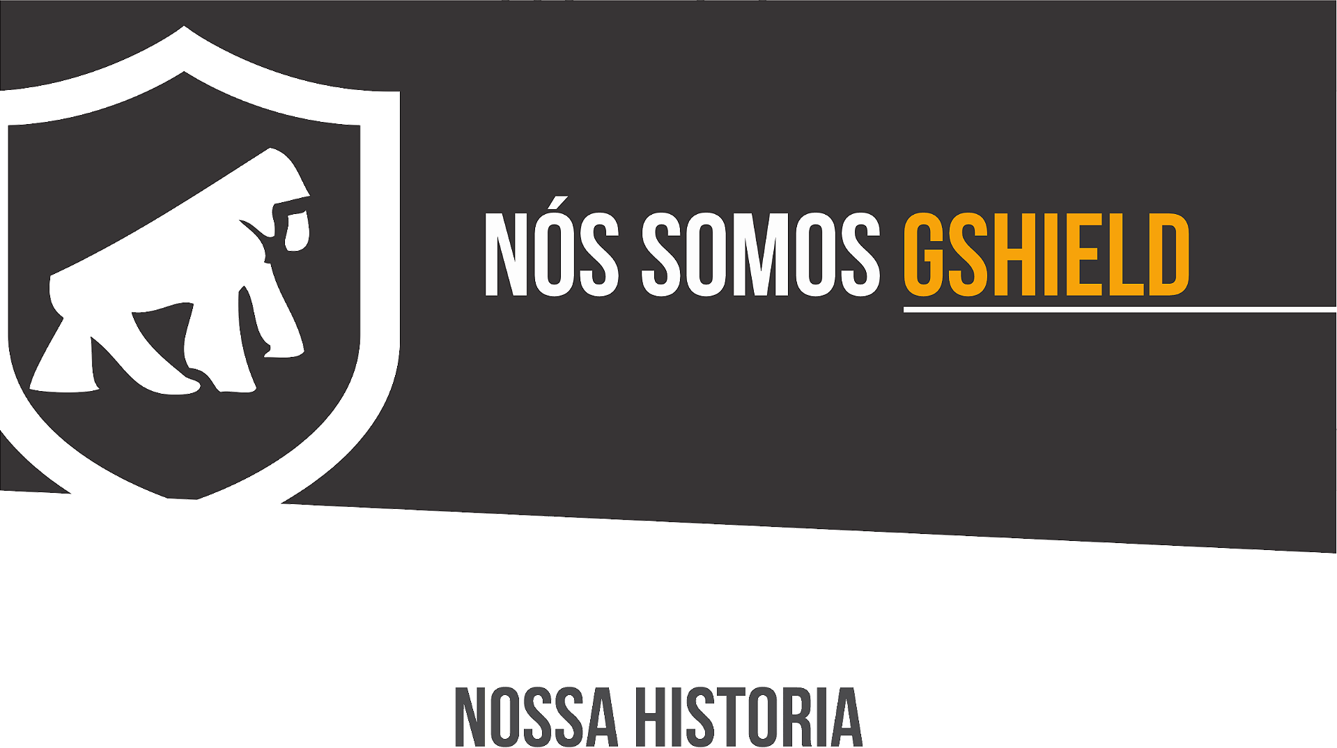 banner nós somos gshield