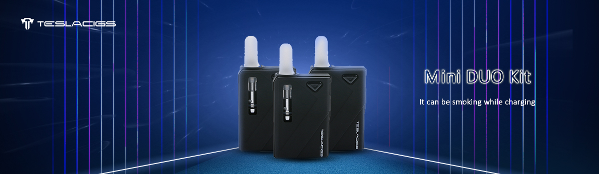 Mini Duo Starter Teslacigs