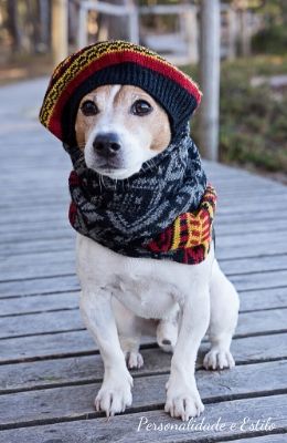 personalidade pet