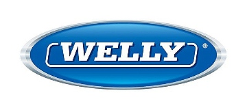Busca Welly