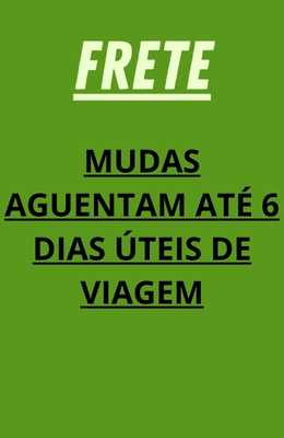 plantas aguentam
