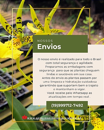envio