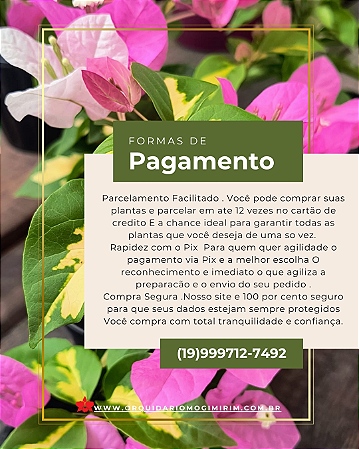 pagamento