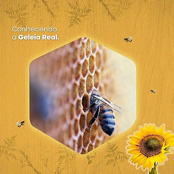 Conhecendo a Geleia Real 