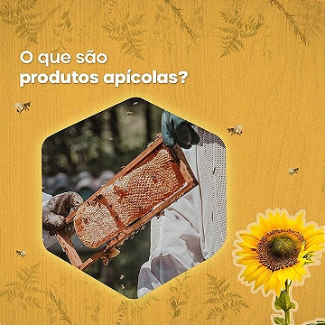 O que são produtos apícolas ?