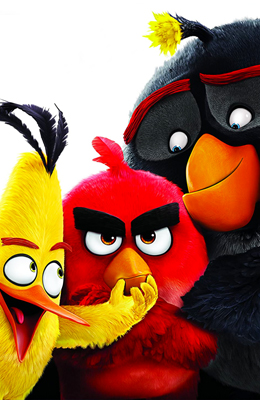Angry Bird