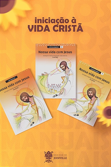 Novos Manuais