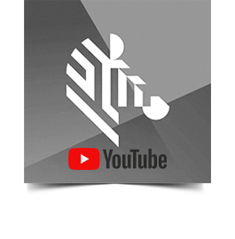 Canal Zebra Youtube