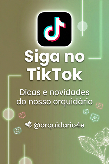 Tik Tok