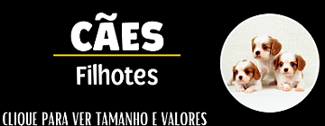 Atalho cães filhotes