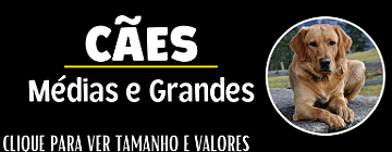 Atalho MED/GRANDES RAÇAS