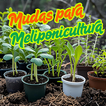 Plantas para Meliponicultura