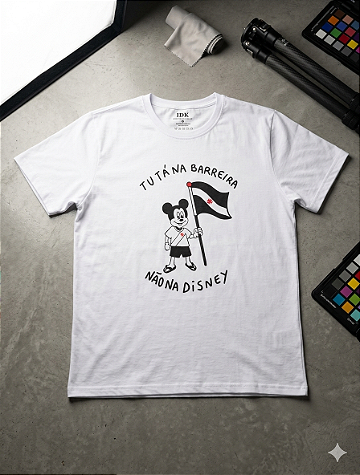 TU TÁ NO BARREIRA, NÃO NA DISNEY