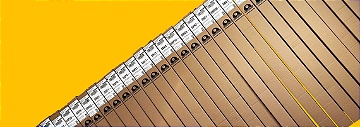 lateral