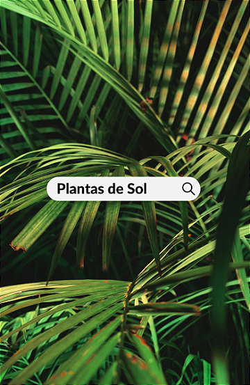 Plantas de Sol - Flora