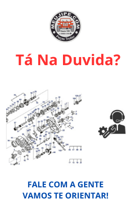 duvida