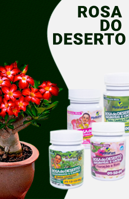 Orquifert - Rosa do deserto