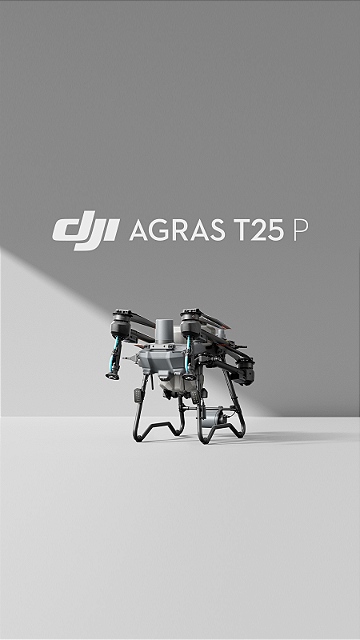 t25p lateral