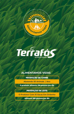 CAMPANHA 01