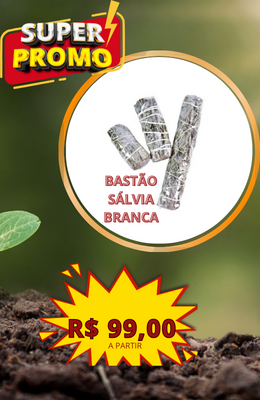 SALVIA BRANCA