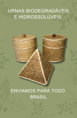 envio2