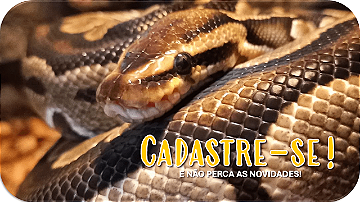 Cadastre-se!