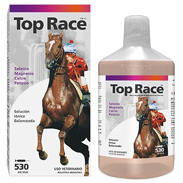 Top Race 530
