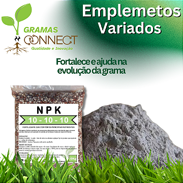 MUDAS DE GRAMAS DIRETO DA FAZENDA79+