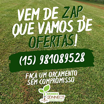 MUDAS DE GRAMAS DIRETO DA FAZENDA83