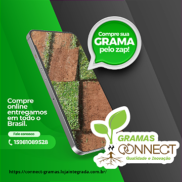 MUDAS DE GRAMAS DIRETO DA FAZENDA6