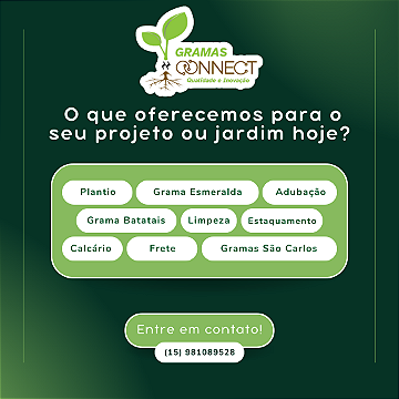 MUDAS DE GRAMAS DIRETO DA FAZENDA5