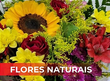 FLORES NATURAIS