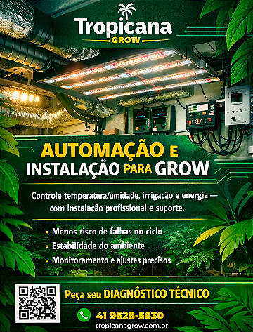 automacao1