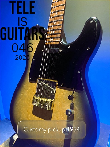 Tele Is Guitars 046